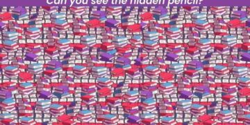 Μόνο αν έχετε αετίσια ματιά θα βρείτε το μολύβι σε 5 δευτερόλεπτα