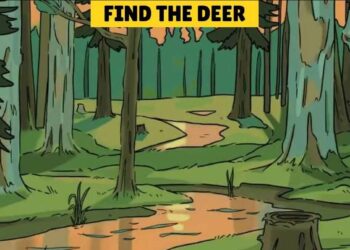 Μόνο το 3% των ανθρώπων θα βρει το ελάφι σε 10 δευτερόλεπτα