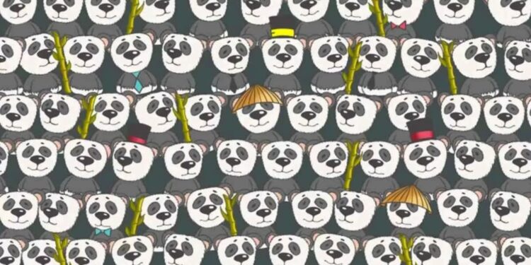 Μόνο αν έχετε αετίσια ματιά θα βρείτε την πολική αρκούδα σε 5 δευτερόλεπτα