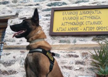 Βγαίνει στη σύνταξη ο Όσκαρ, ο πιο διάσημος σκύλος περιπολίας της ΕΛ.ΑΣ.