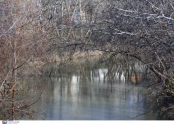 Άρτα: «Μου φώναξε “δύο παιδιά πνίγονται”, και βούτηξα αμέσως στα νερά»