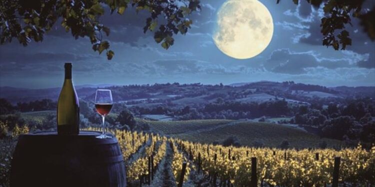 Κάθε Πανσέληνος του καλοκαιριού είναι μοναδική στην Οινοποιία Ψαρούλη