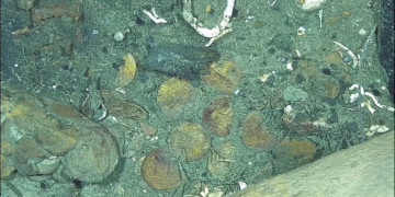 Πώς τα νομίσματα του θρυλικού ναυαγίου Σαν Χοσέ μπορεί να επαληθεύσουν την ταυτότητά του