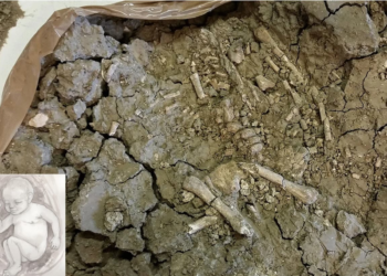 Σκελετός βρέφους μπορεί να λύσει ένα μυστήριο αιώνων