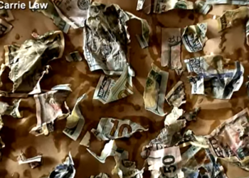 Περιορίστηκαν οι απώλειες στο Δολάριο