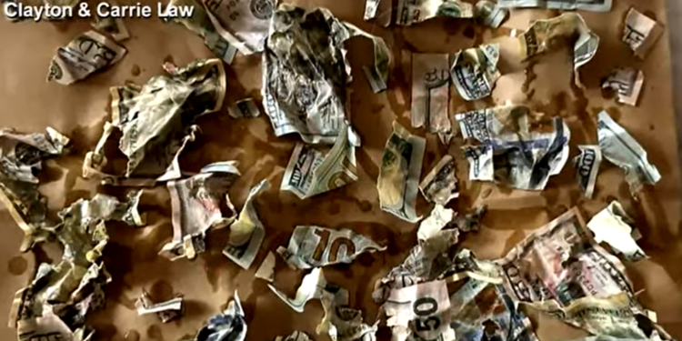 Περιορίστηκαν οι απώλειες στο Δολάριο