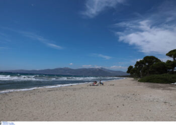 Κατεπείγουσα προκαταρκτική εξέταση μετά τα δημοσιεύματα για τα πολυτελή bungalows σε δασική περιοχή