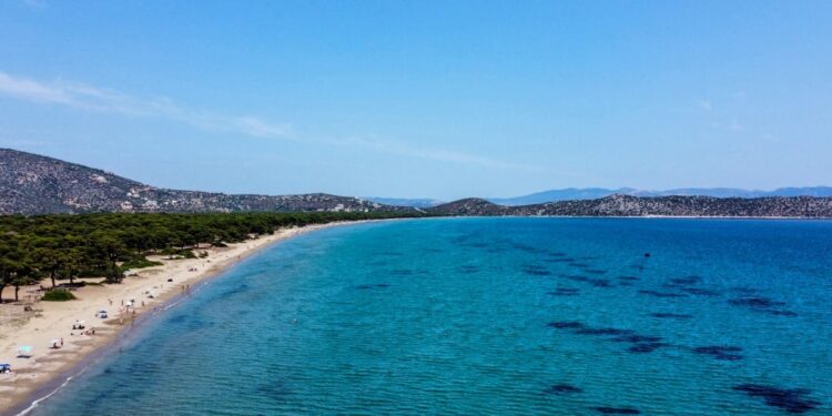 Κατεπείγουσα προκαταρκτική έρευνα για τα «αυθαίρετα στο πάρκο του Σχινιά»