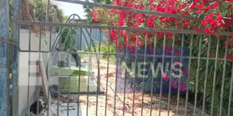 Τι έδειξε η ιατροδικαστική εξέταση για τον θάνατο του 64χρονου σε τροχόσπιτο – Δικογραφία για ανθρωποκτονία