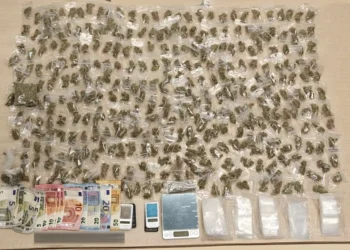 Χειροπέδες σε 25χρονο με εκατοντάδες συσκευασίες χασίς