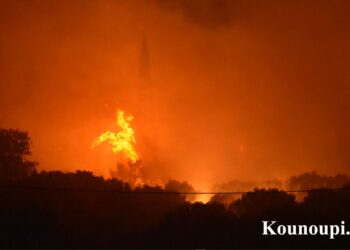 Φωτιά στη Χίο: Αγώνας να μην κατευθυνθεί η πυρκαγιά προς κατοικημένες περιοχές