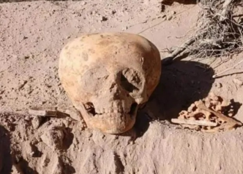 Μυστήριο με διογκωμένο κρανίο που ανακαλύφθηκε τυχαία σε εργασίες για σύστημα ύδρευσης