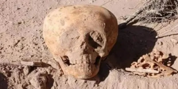 Μυστήριο με διογκωμένο κρανίο που ανακαλύφθηκε τυχαία σε εργασίες για σύστημα ύδρευσης
