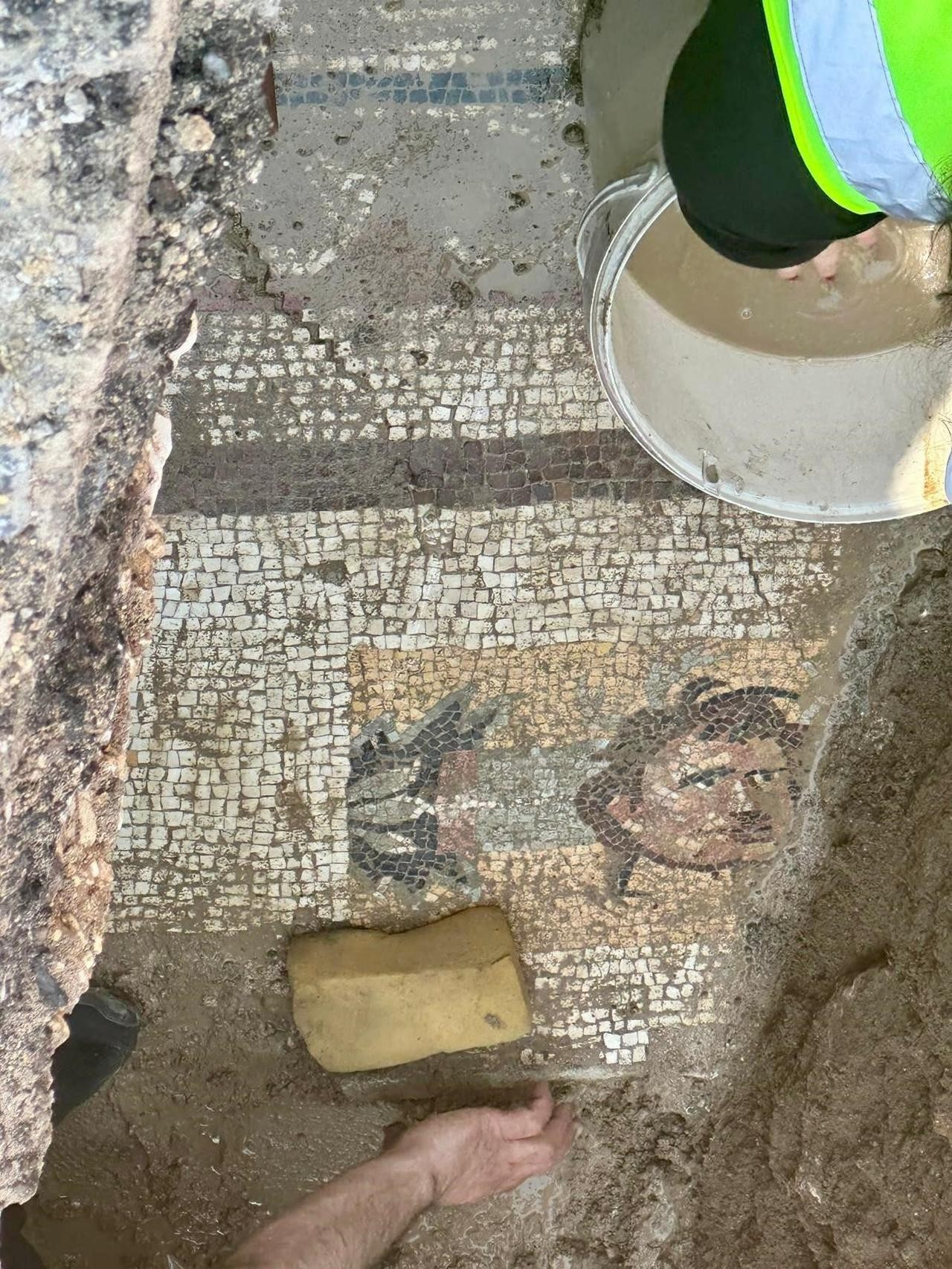 Το μωσαϊκό δάπεδο που ανακαλύφθηκε στη διάρκεια αδιάλειπτων κατασκευαστικών εργασιών στην πόλη Ουλκαντιρόγλου, στην επαρχία Καχραμανμαράς. 7 Ιουνίου, 2025. Φωτογραφία: ΙΗΑ