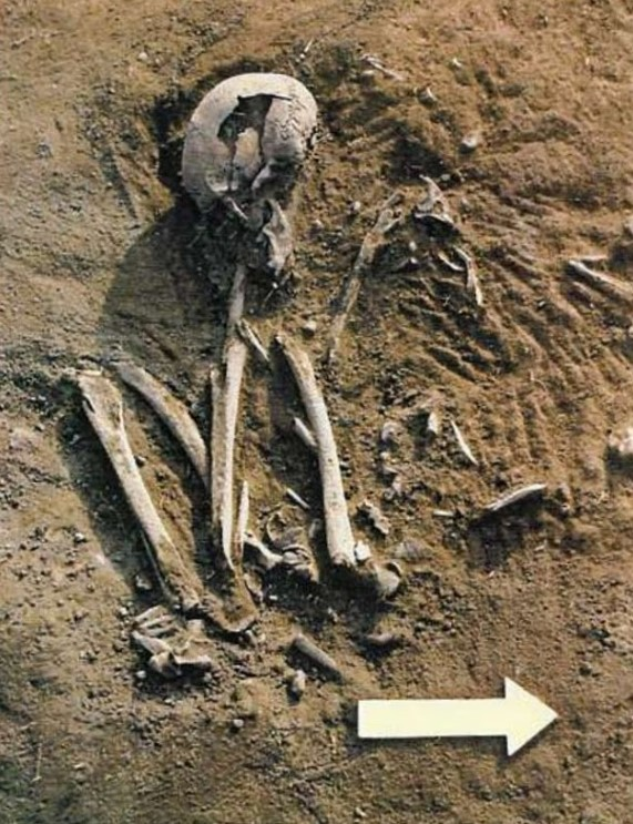 Τα λείψανα των οποίων το DNA έδειξε την ύπαρξη μιας άγνωστης γενεαλογίας. Φωτογραφία: Thesun.com