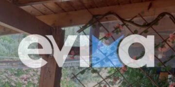 Αναστάτωση στην Εύβοια: Φίδι εμφανίστηκε σε μπαλκόνι σπιτιού στην Ερέτρια