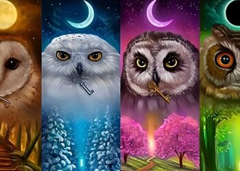 Η κουκουβάγια που θα διαλέξετε αποκαλύπτει τι σας κάνει ξεχωριστούς